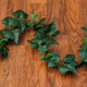 Illustration for article titled Ivy-Covered Extension Cables Disguise Your Unsightly Tangled Power Cords